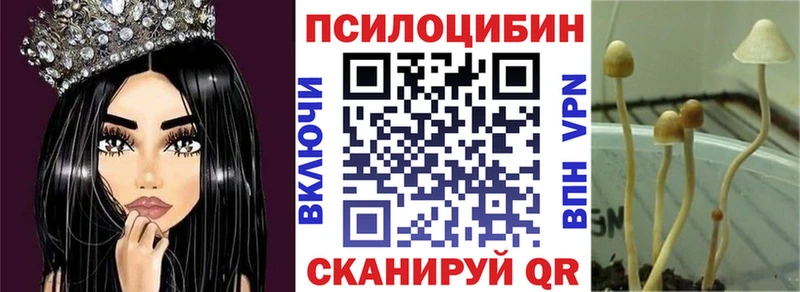 Галлюциногенные грибы Psilocybe  hydra зеркало  Лиски 
