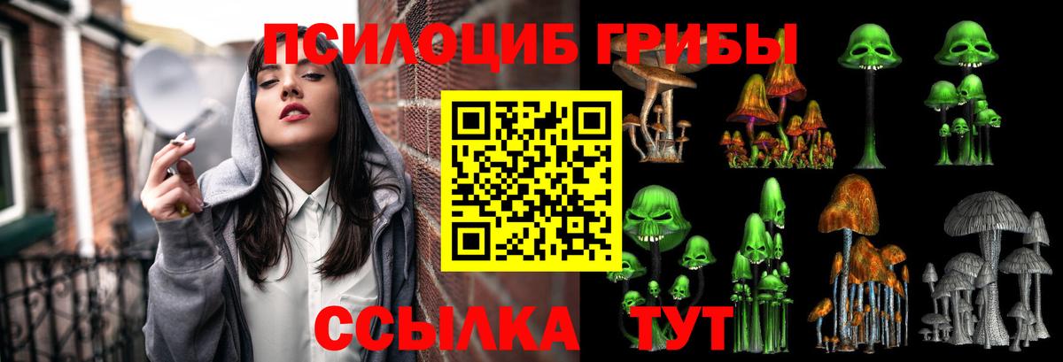 где продают наркотики  Псилоцибиновые грибы Magic Shrooms  Псилоцибиновые грибы Psilocybine cubensis  Вход с VPN  Лиски 